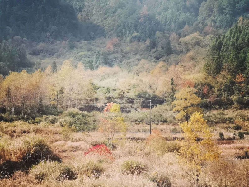 周边景点