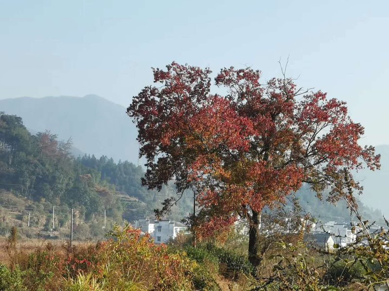 周边景点