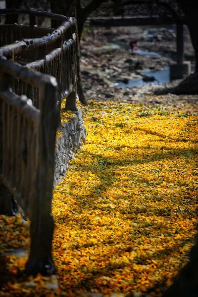  周边景点