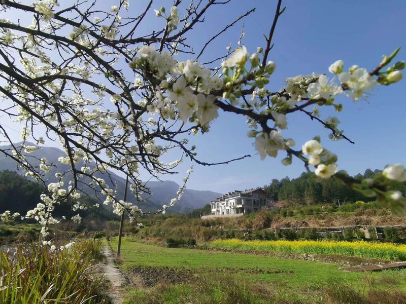  周边景点