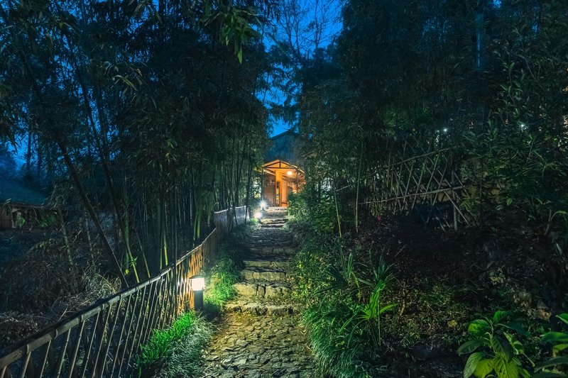 Small Forest Guesthouse Over view