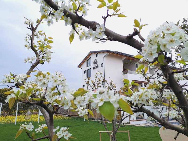 Zhuyi Hotel over view