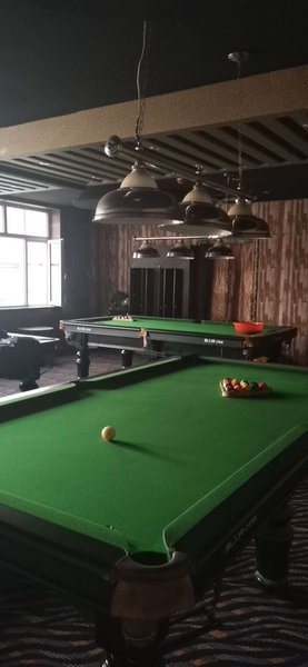 Hangjin houqi emperor nine network hotel 休闲