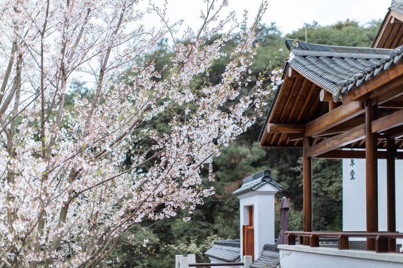 Renli Meisu · Ningshu Hotel Over view