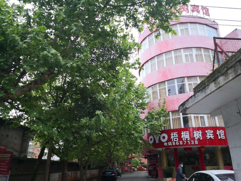 phoenix tree hotel Over view