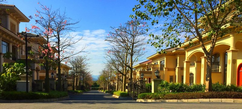 Yisideng Holiday Villa Over view