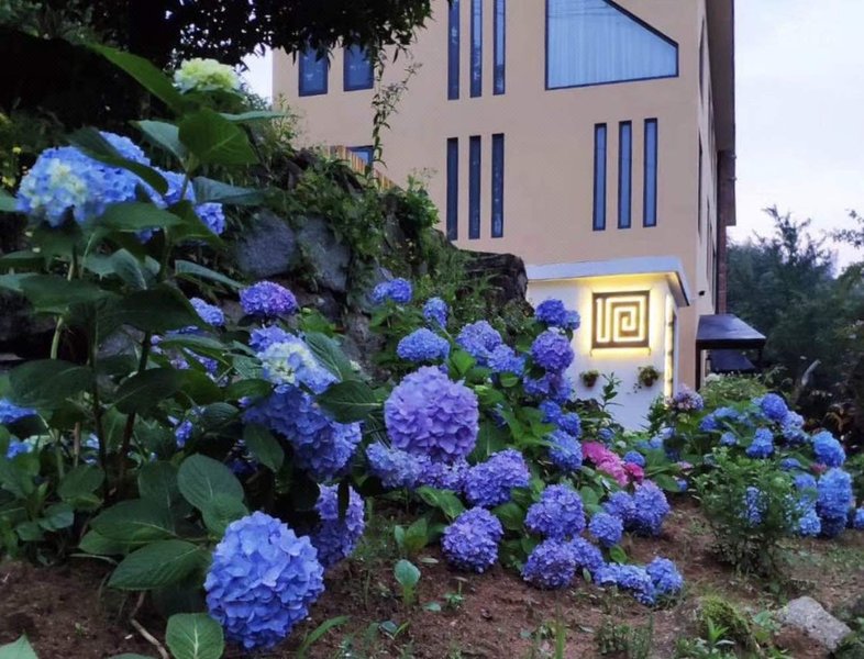 Ten Rooms InnOver view