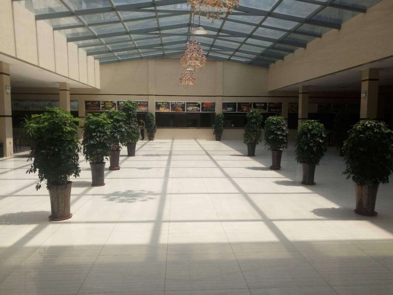 Nanyangbinguanerbu 其他