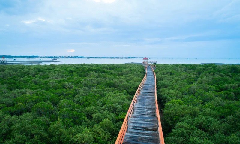 Zhanjiang Te Cheng island holiday villa周边景点