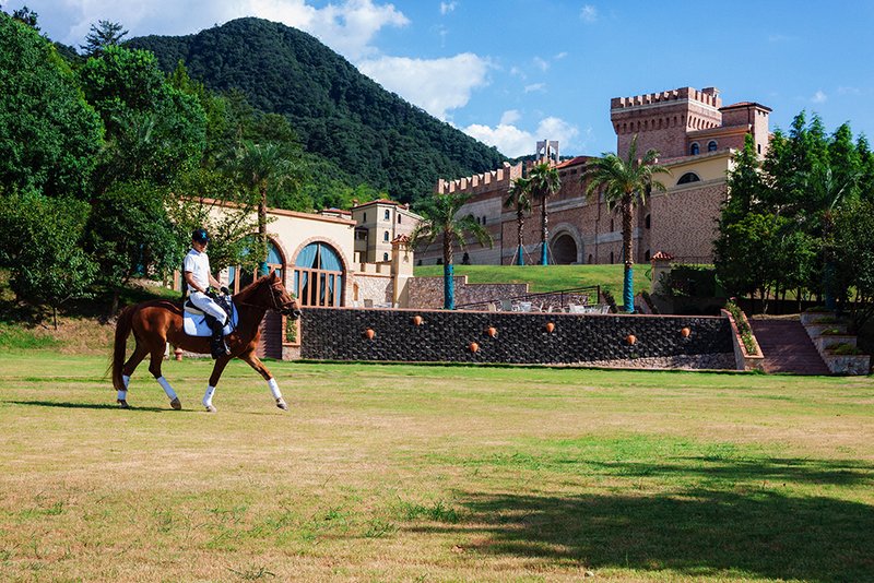 Conti Toscana Castle Resort & SPA Over view