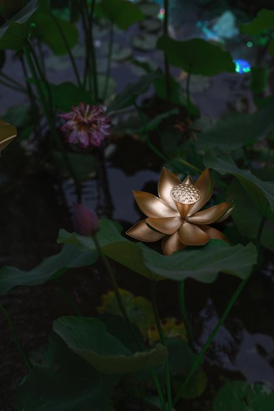 Oushe HotelOver view