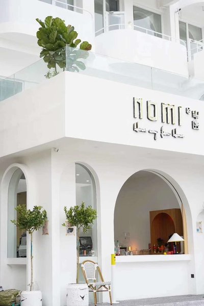 Nomi The Sea Over view