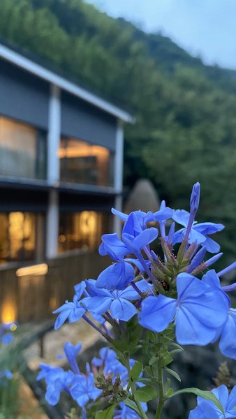 Wuta Xinshe (Lin'an Longmen Secret Realm) Over view