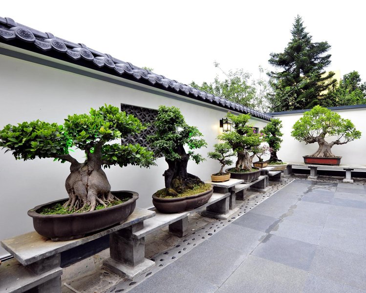 JingXi House At The Park Over view