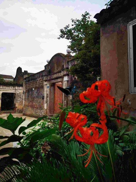 Sister Cloud's Secret Garden Over view