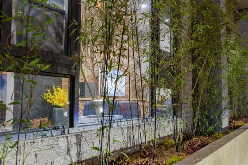 Ximo GuesthouseOver view