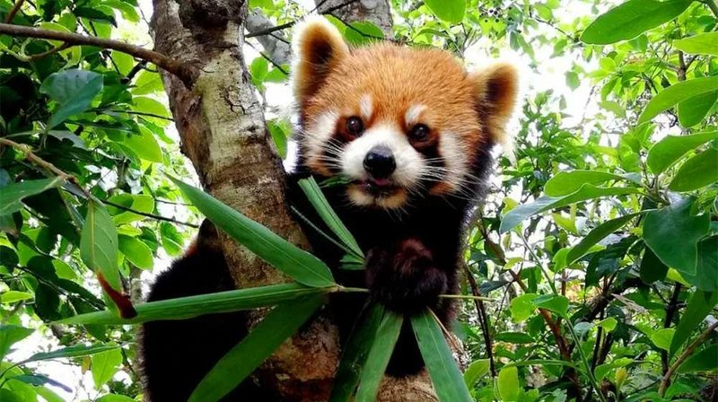 Zhixi Boutique Hotel周边景点