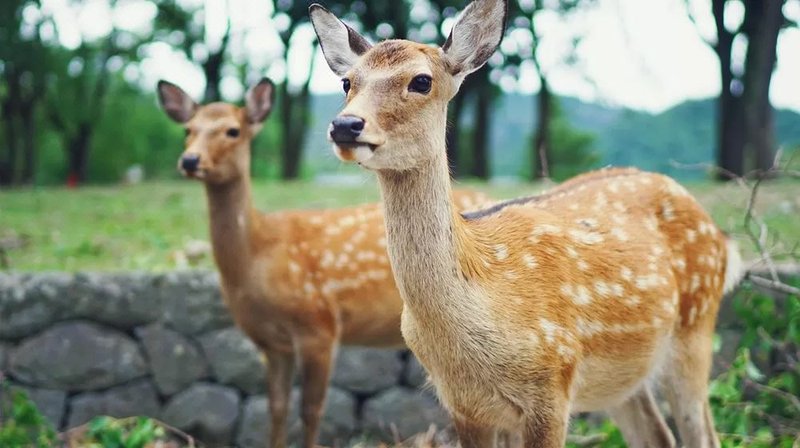 Zhixi Boutique Hotel周边景点