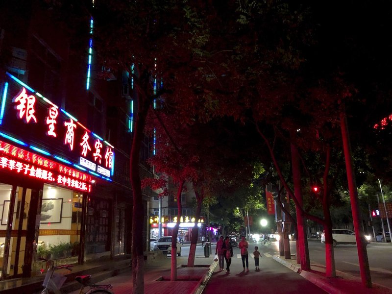 LINTAOYINXINGSHANGWUBINGUAN Over view