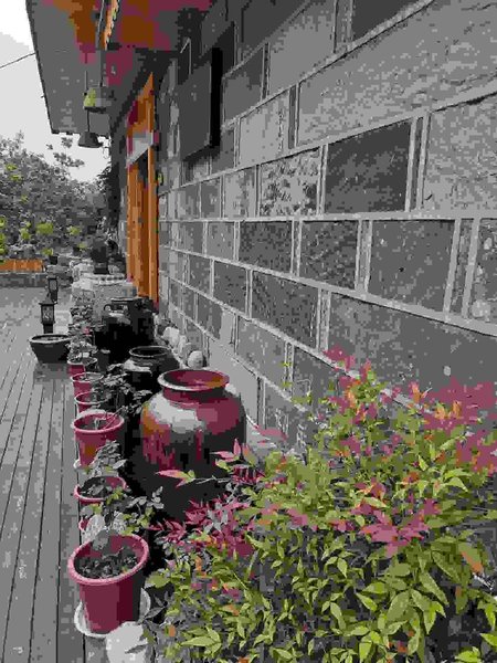 Luyuan Homestay Over view