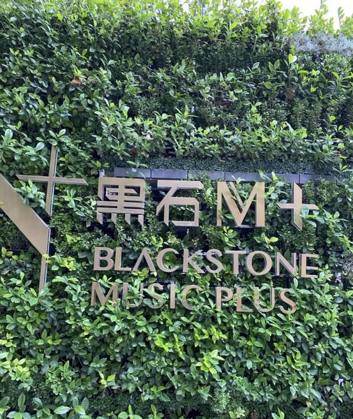 Blackstone M+ Hotel Over view