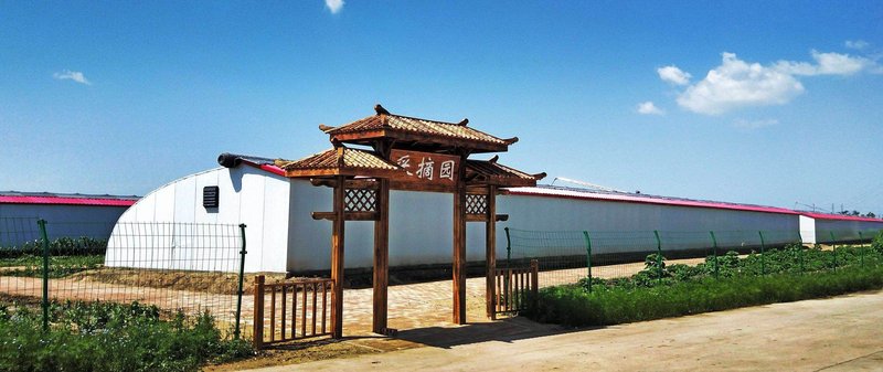 the Courtyard of Desheng Village Over view