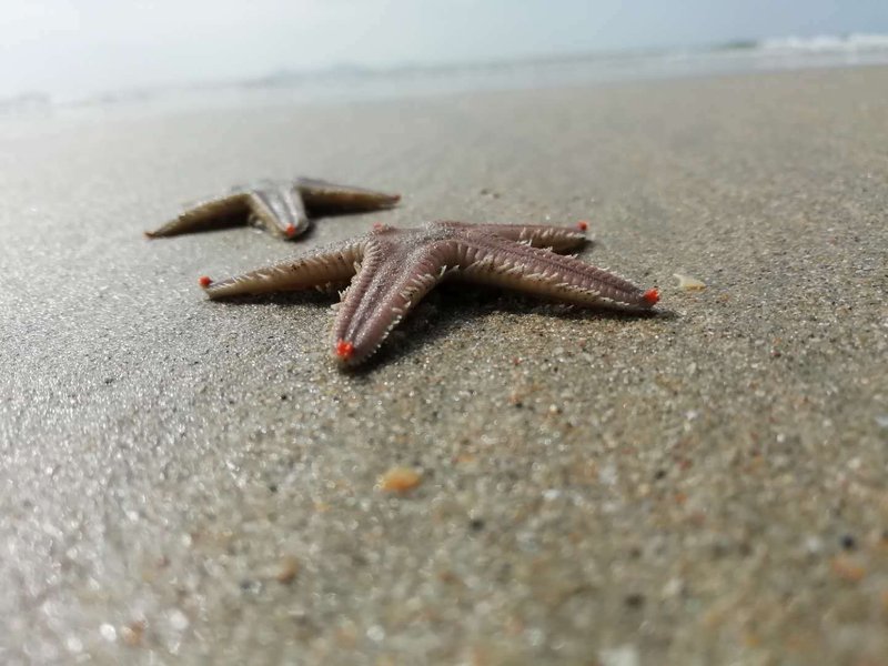 Yijia Business Apartment (Guangzhou Shajiao East Road) 休闲