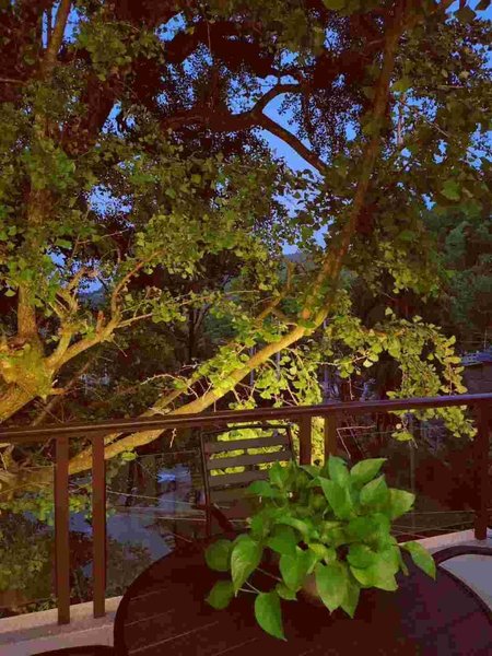 Yuquan Mountain HouseOver view