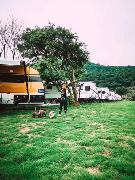 DONGDAN RV CAMP Over view