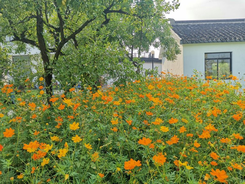 Sanshan Island Fortune Homestay Over view