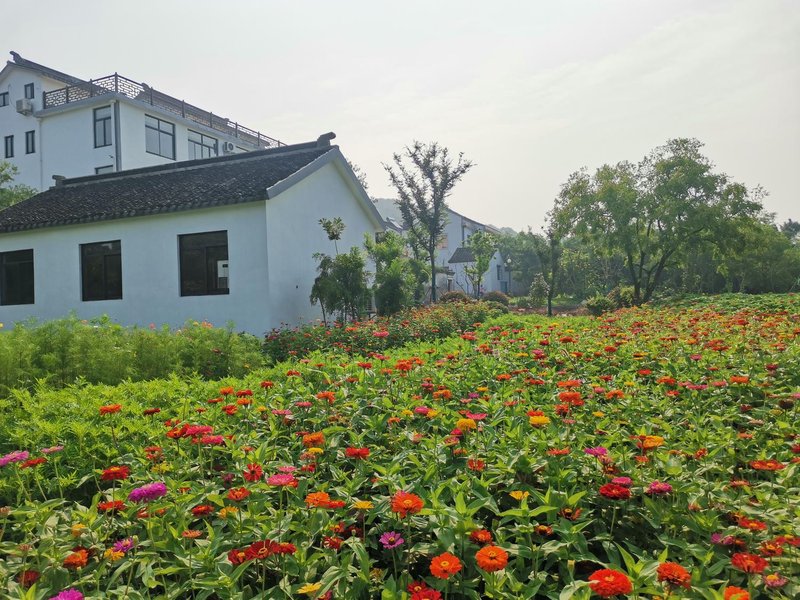 Sanshan Island Fortune Homestay Over view