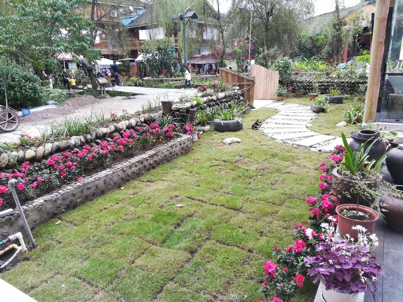 YUAN SU INNOver view