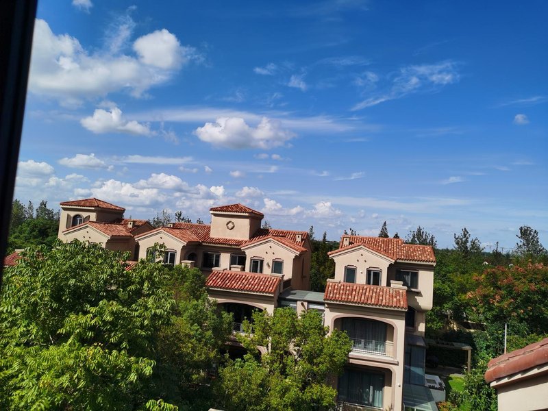 Joy Pavilion European-style Villa In ShanghaiOver view