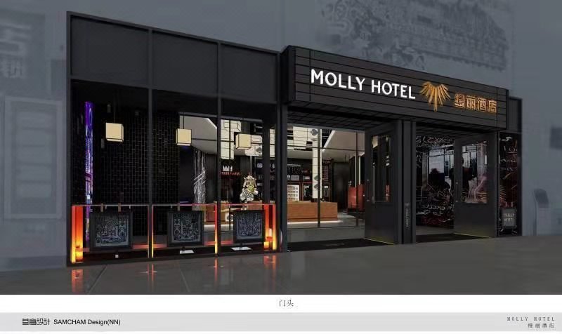 molly hotelOver view