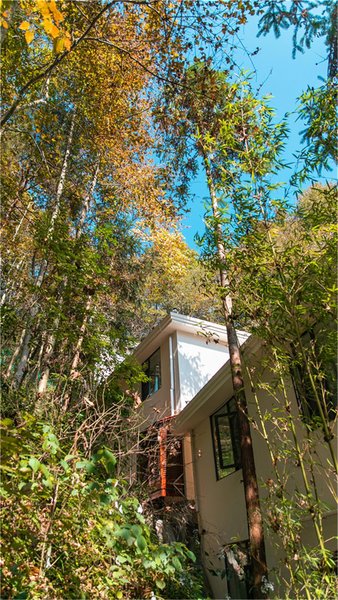 Snowy&Sunny HomestayOver view