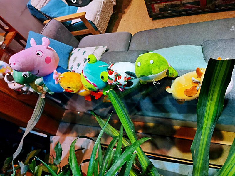 Warm Nest Inn 休闲