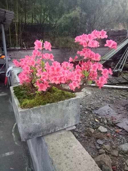 客房
