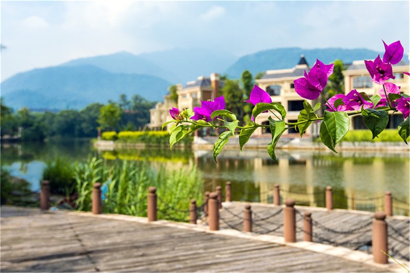 Emei Mountain and Lake Crown Hot Spring Holiday VillaOver view