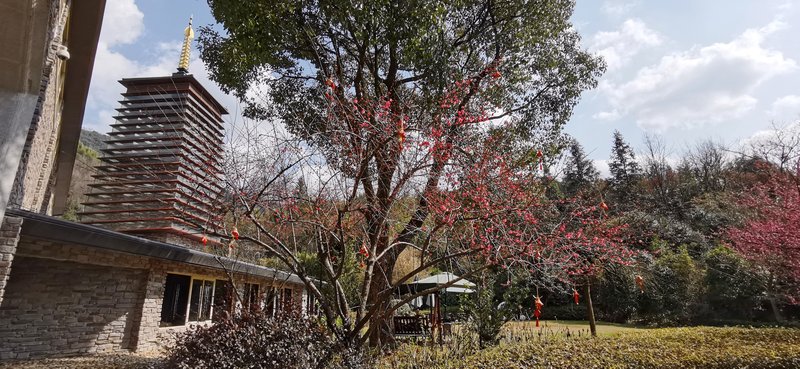 Jiuhuashan Yunshui Hotel Over view