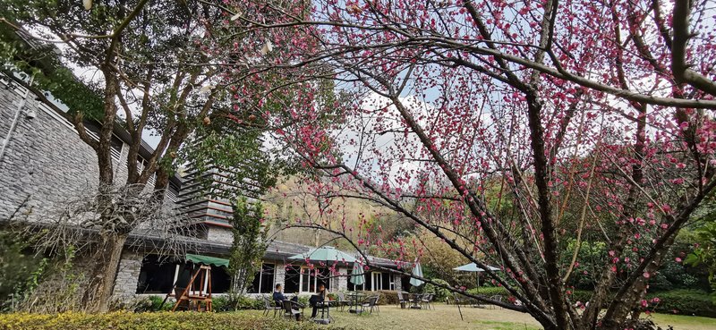 Jiuhuashan Yunshui Hotel Over view