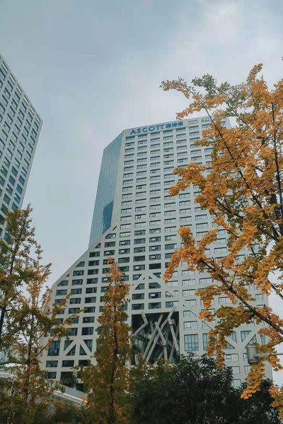 Ascott Raffles City Chengdu Over view