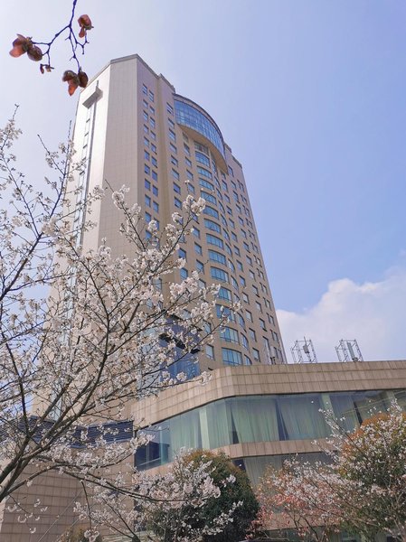 Xiongchu International HotelOver view
