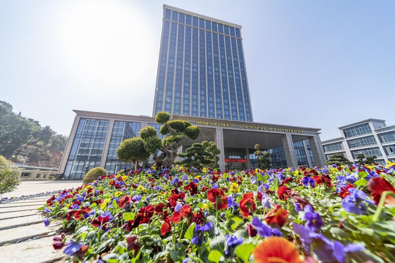 Fengxin Ronghui Landscape Hotel Over view