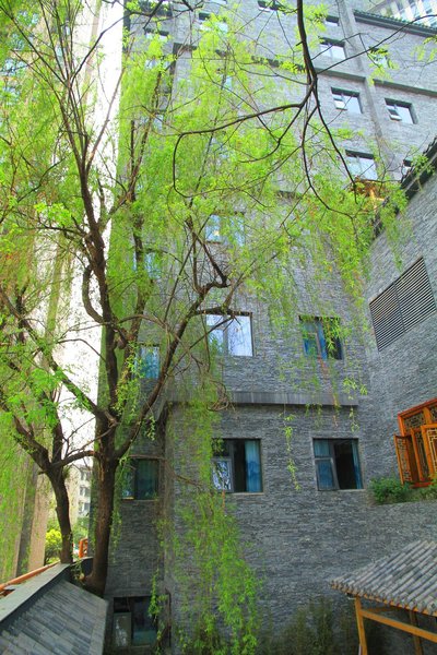 Chengdu willow hotel Over view