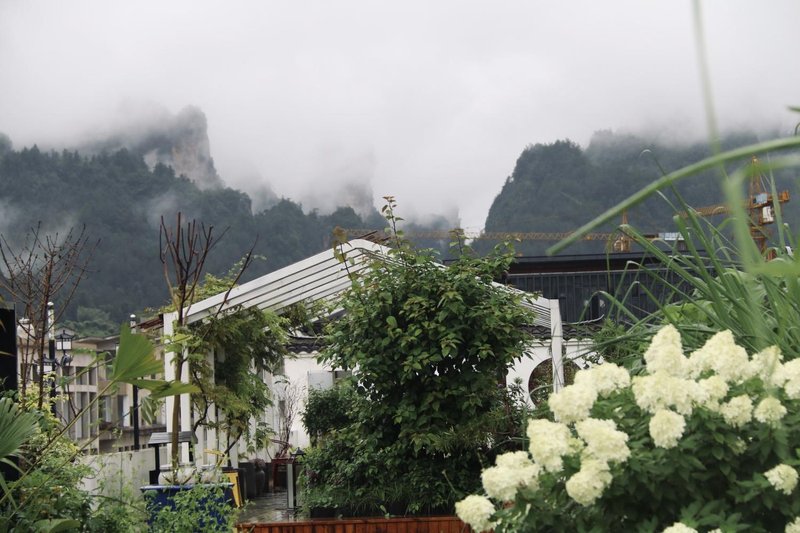 wangyunju Homestay Over view