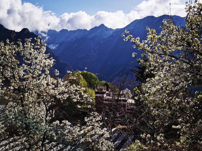 Jia Rong Sang Zhu Kang Hotel Over view