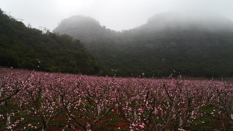 Tien Son周边景点