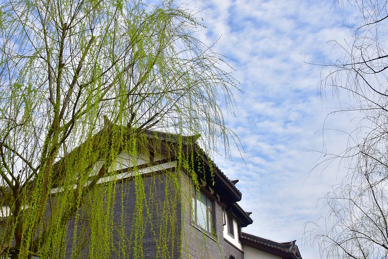 Floral Hotel Simabieyuan (LiuYe Lake Shop) Over view