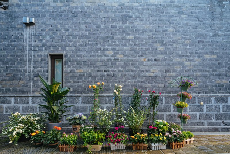 Floral · the old gate East of Nanjing Confucius Temple Over view