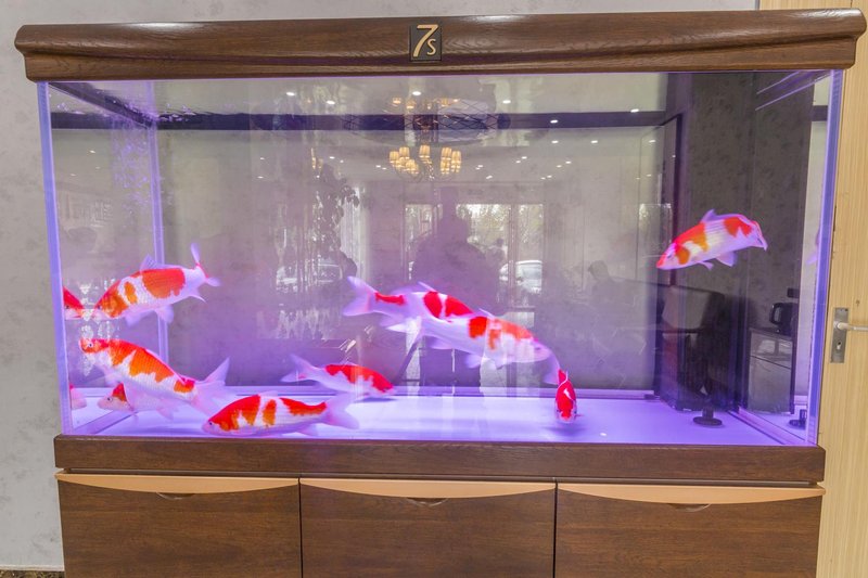 City 118 Chain Hotel (Qingdao Jiaodong International Airport)Over view